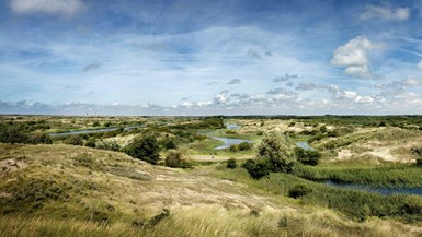 Meer drinkwater uit de duinen: goed voor mens én natuur